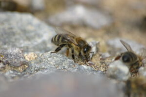 16092013175509 2085 art 1395 bschkg img 4445 7
