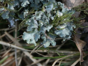 21082013125314 1538 art 1223 pict0761