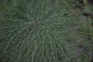 23072014232034 2582 art 1569 dsc 6219