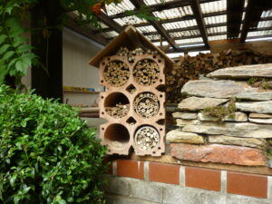 Bienen, Hummeln