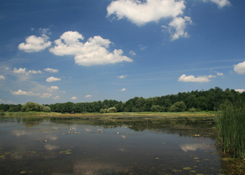 Teiche