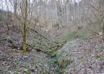 Quellfluren