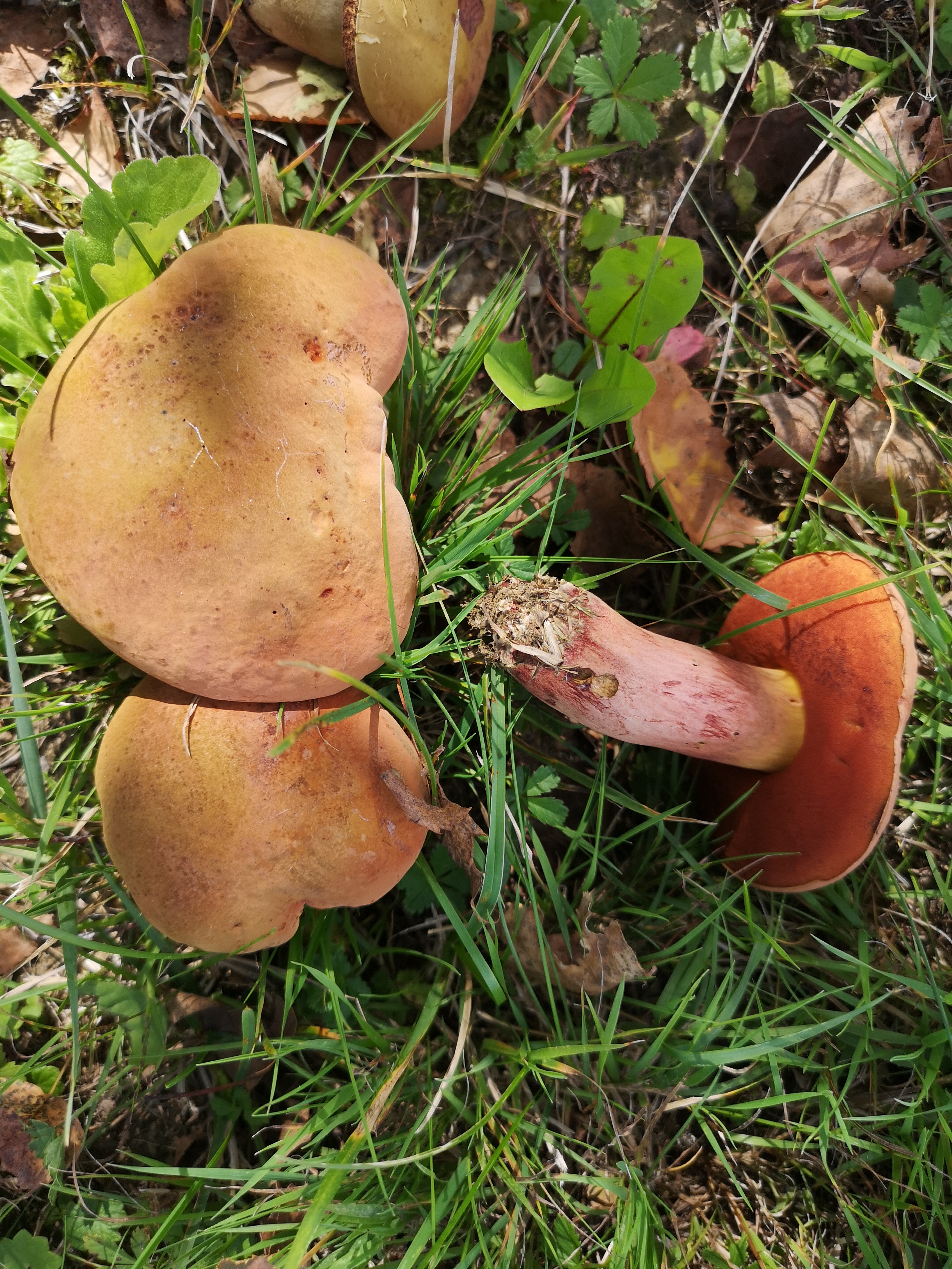 03102019102309 3881 art 395 img 20190919 142609