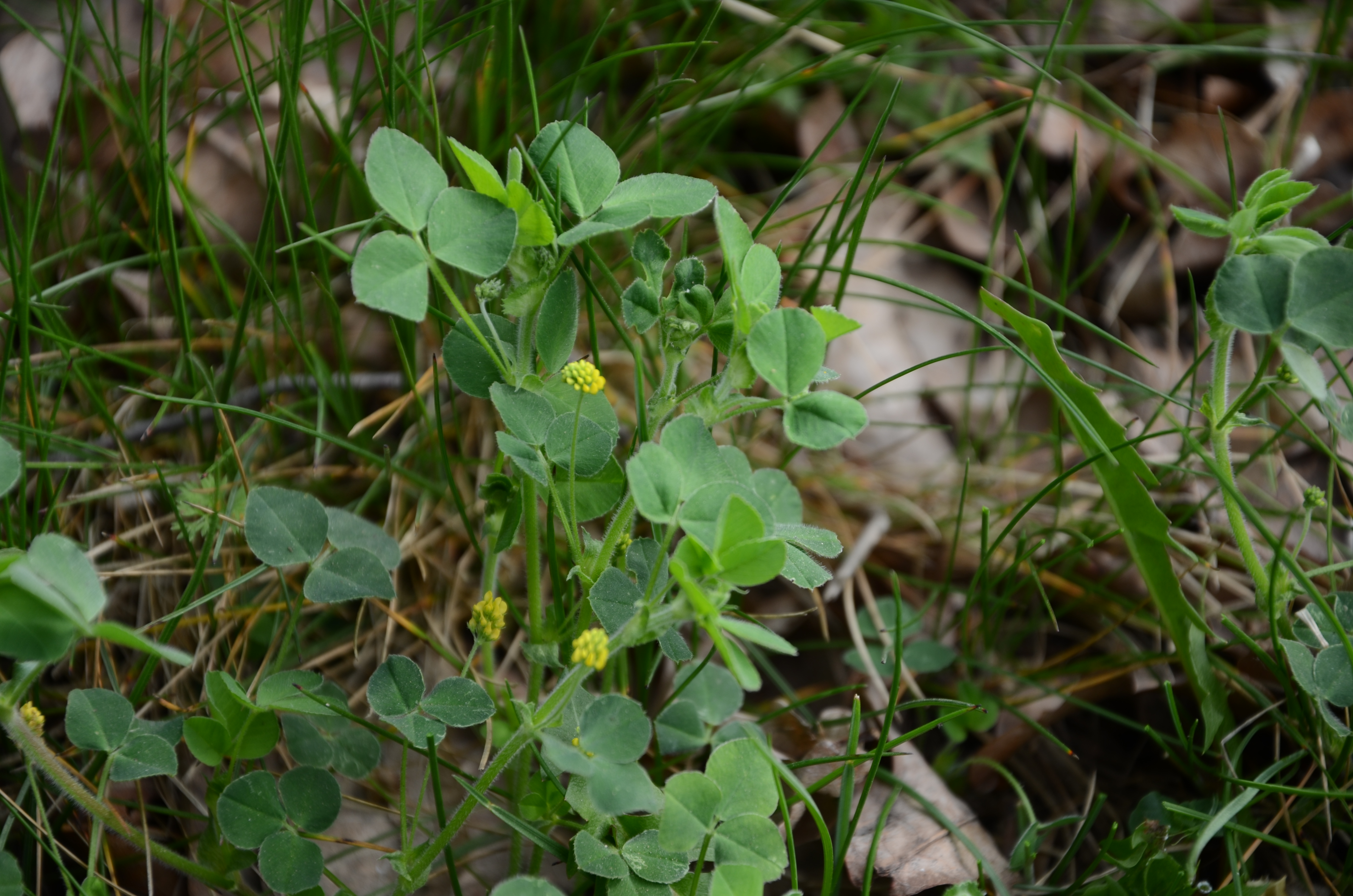 07042014110612 2285 art 1450 dsc 3076