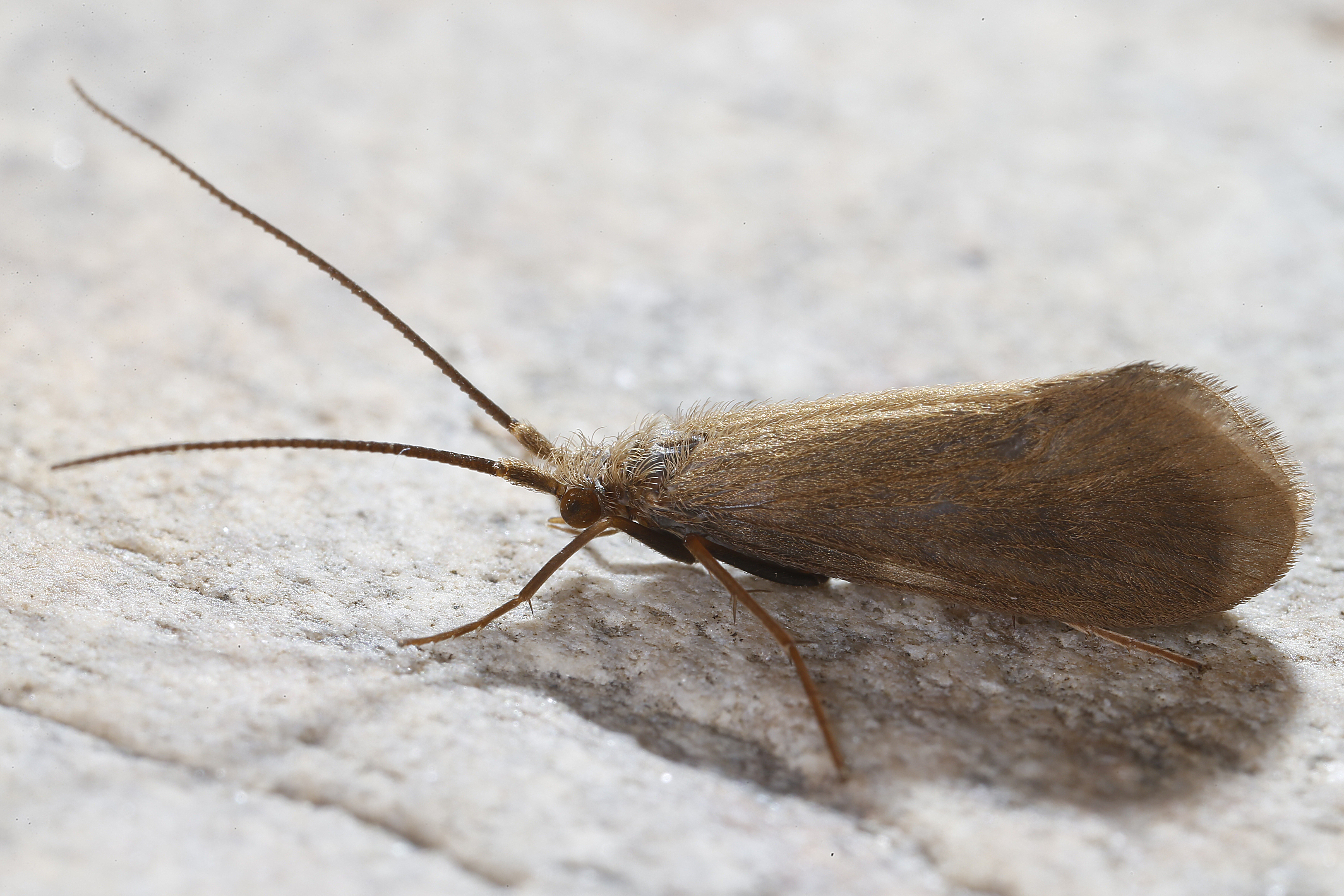 17092013040305 2137 art 1391  m2p0731.2