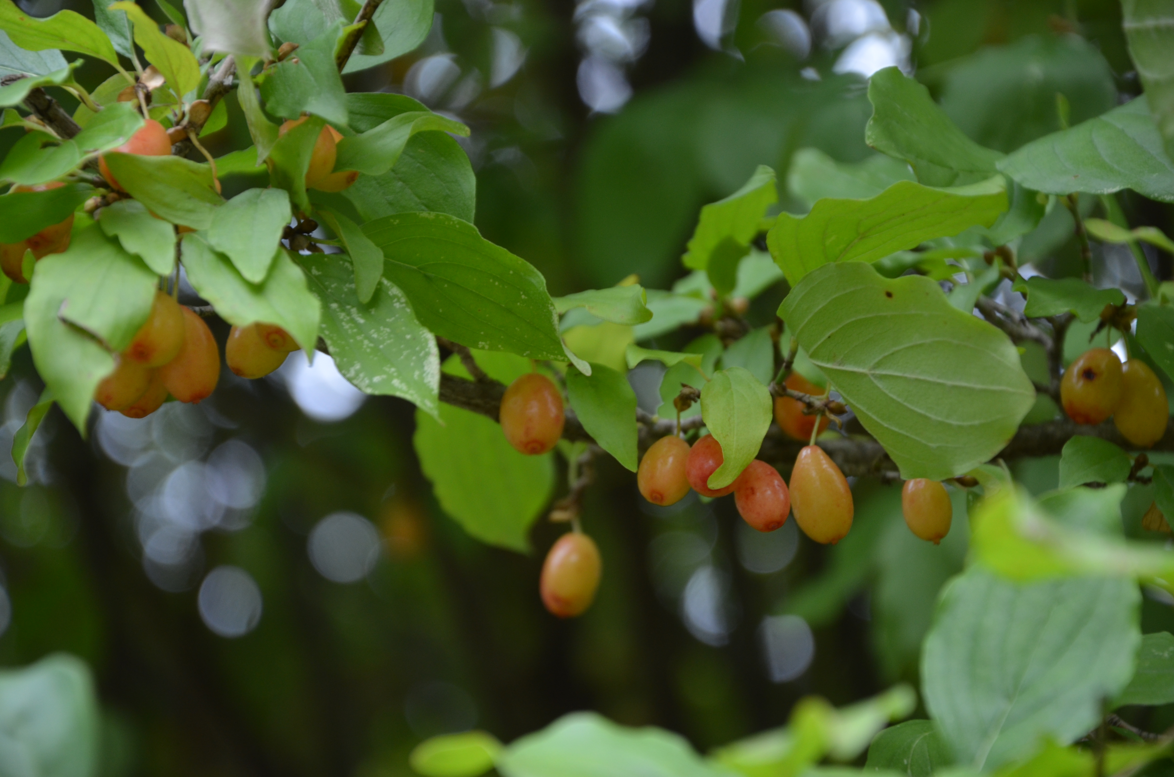 21082013163216 1543 art 1227 dsc 8477