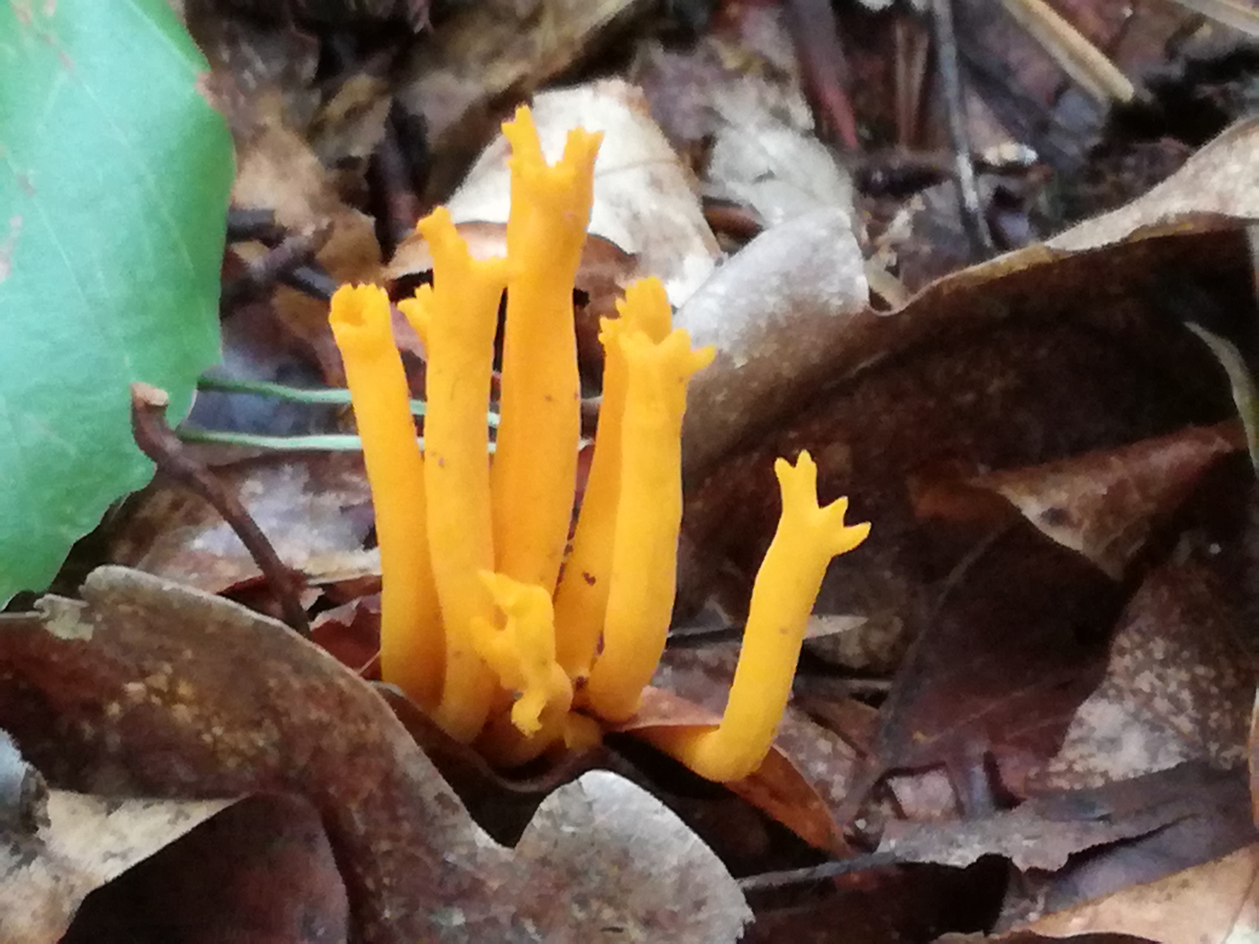 30082017183401 3041 art 776 img 20170828 131820 kopie kopie